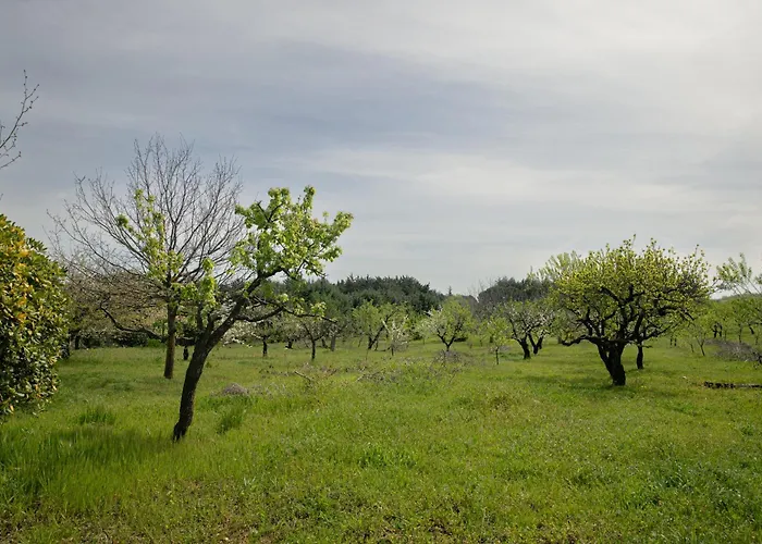 Casina al Castello - Natura e Relax